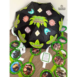 Guarda-Chuva Povos Indígenas